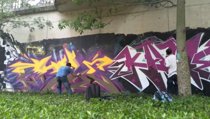 De snel drogende verf van de graffitinevel